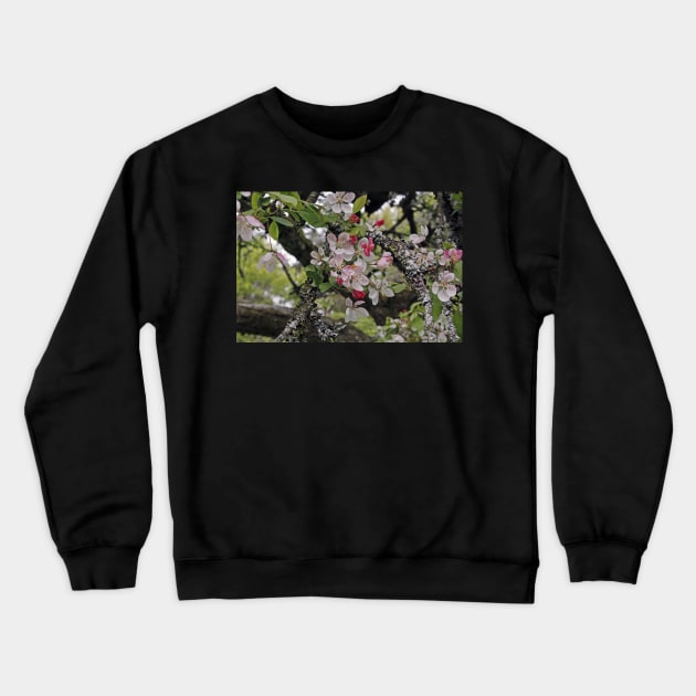 Apple Blossom Crewneck Sweatshirt by gracethescene